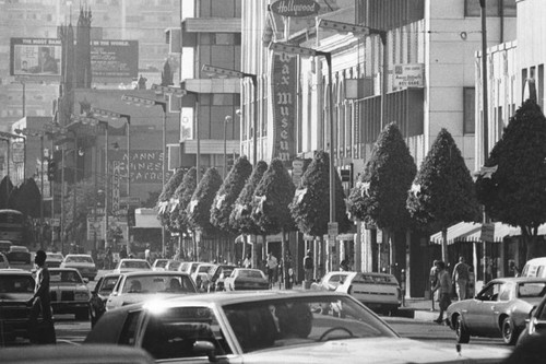 Ribbons hung in honor of hostages in Iran