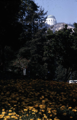 Griffith Park and Observatory