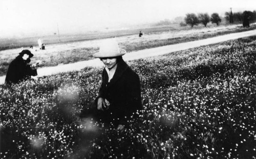 Woman in field of wildflowers