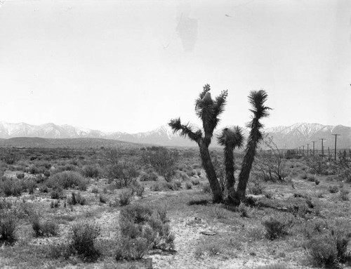 Valley in Palmdale