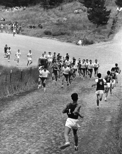 Lonely toil for cross country runners