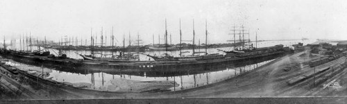 Sailing ships, L.A. Harbor