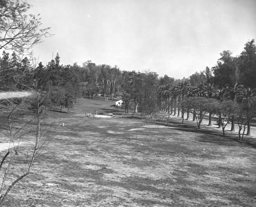 Landscaped section of Elysian Park