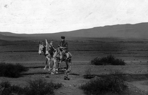 Theater man disappears in Death Valley