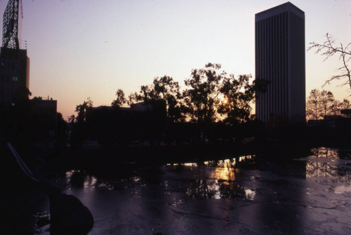 La Brea Tar Pits at sunset