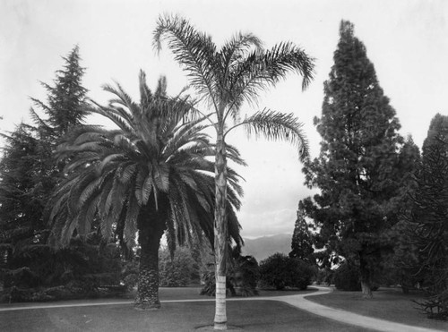 Carmelita Park, Pasadena