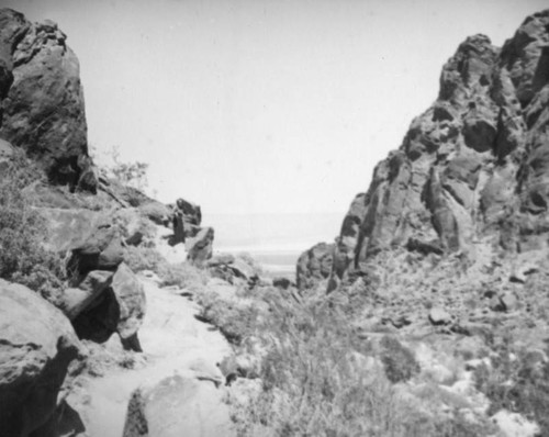 Tahquitz Canyon