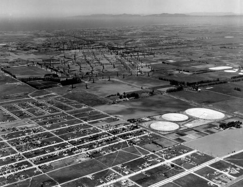 Dominguez Oil Field, aerial view