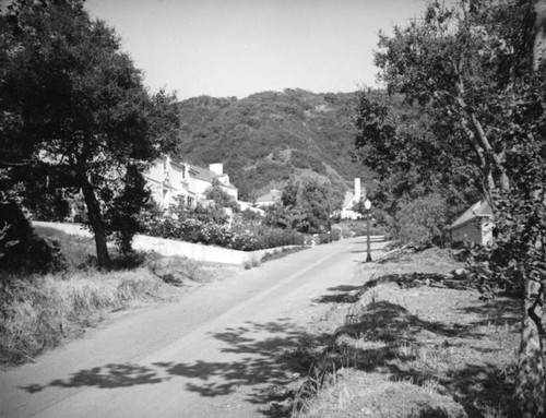 Residential street in Beverly Hills