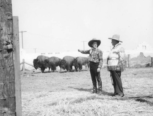 Cowboys with bison