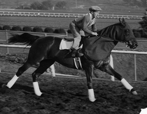 Race horse Seabiscuit