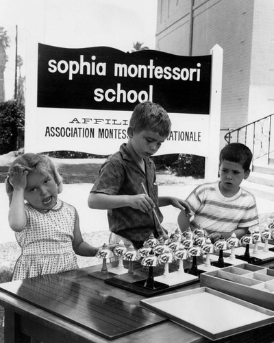 Sophia Montessori School