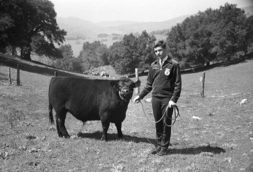 FAA young farmer with Black Angus bull