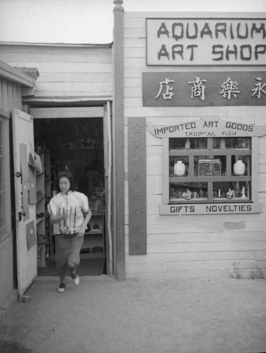 Aquarium Art Shop, China City