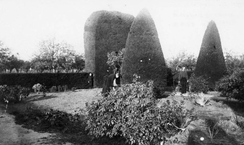 Garden in Santa Ana — Calisphere