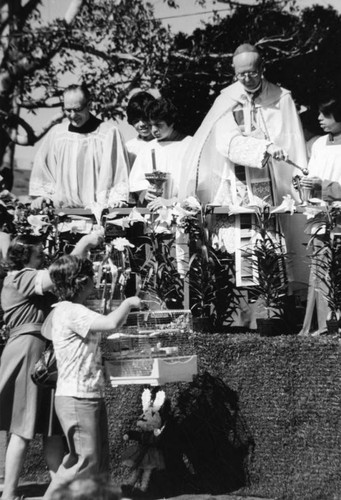 Blessing of the Animals, Old Plaza