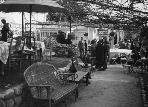 Benches by the tearoom, Wistaria Vine, Sierra Madre