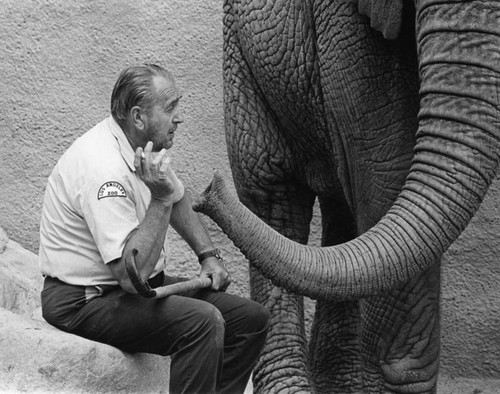 Zookeeper with elephant