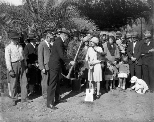 Mary Pickford planting tree