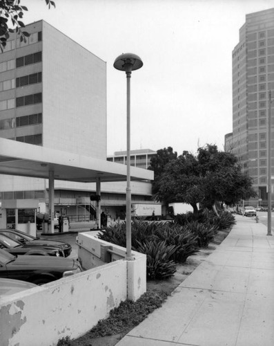 Parker Center Landscape