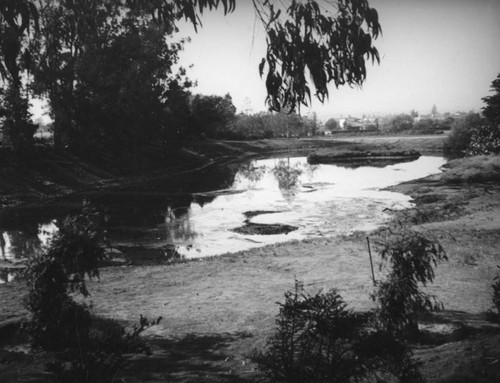 Lake at the La Brea Tar Pits