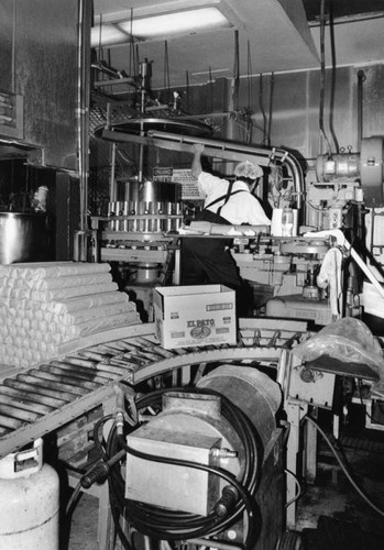 Conveyor system, Walker Foods, Inc