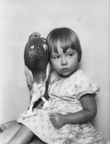 Girl and pigeon