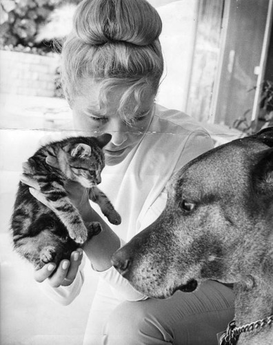 A girl, a dog and an orphan cat