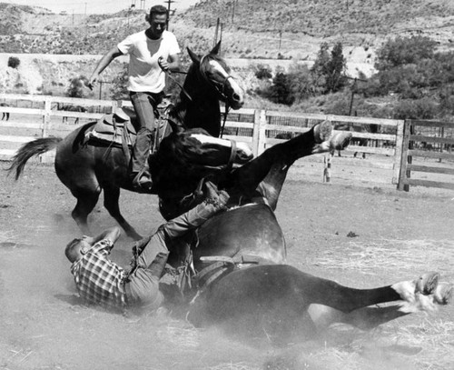 The ups and downs of a bronco rider