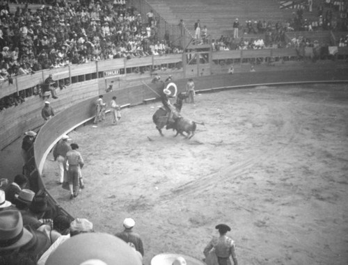 Toro versus Picador, El Toreo de Tijuana