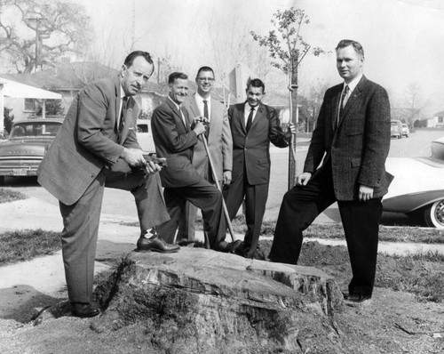 Encino plugs tree planting program