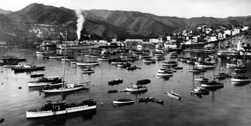 Avalon Bay panorama