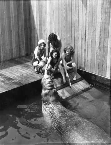 Women feeding sea elephant