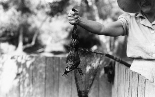 Woman holding a frog