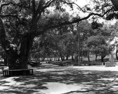 Picnic area at Garfield Park, South Pasadena