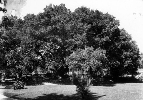 South Pasadena park