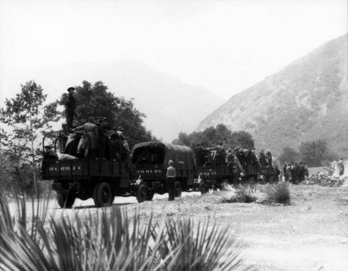 Civilian Conservation Corps reforestation, view 1