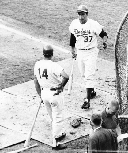 Jim Piersall in Dodger uniform