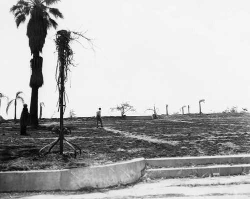 Orange Grove Blvd. redevelopment