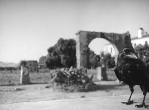 Carriage arch and crow, Mission San Luis Rey, Oceanside