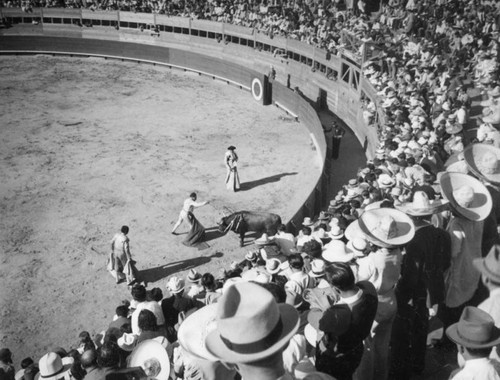 Beginning of the end, El Toreo de Tijuana