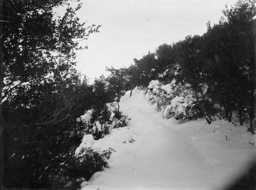 Snow, Mount Lowe Railway