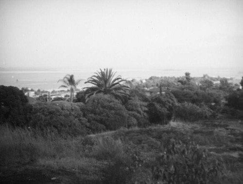 Point Loma, San Diego