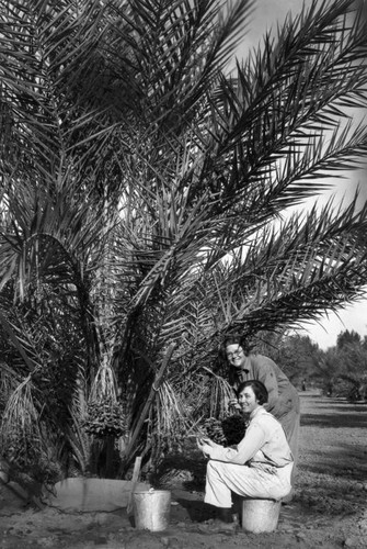 Date picking