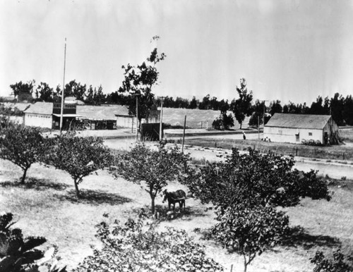 Washington Boulevard and Western Avenue