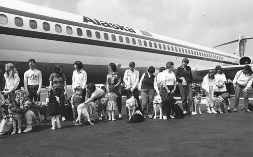 Seeing-eye dogs disembark