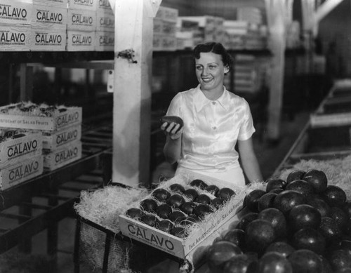 Avocado packing plant