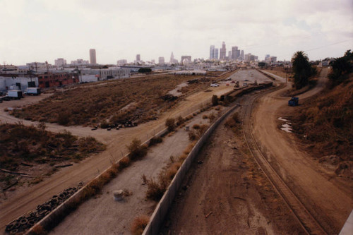 Abandoned Cornfield, view 8