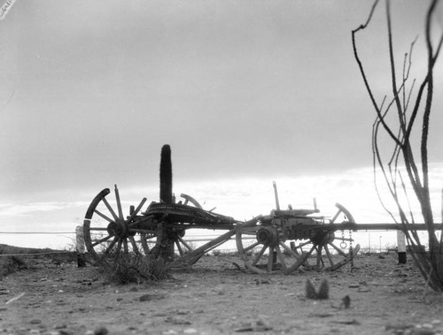 Desert schooner in Arizona