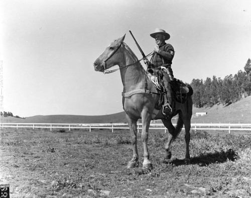 Sheriffs on horseback